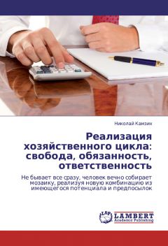 Николай Камзин - Реализация хозяйственного цикла: свобода, обязанность, ответственность