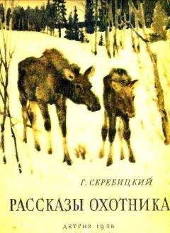 Читайте книги онлайн на Bookidrom.ru! Бесплатные книги в одном клике Георгий Скребицкий - Рассказы охотника