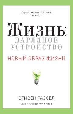 Читайте книги онлайн на Bookidrom.ru! Бесплатные книги в одном клике Стивен Рассел - Жизнь: зарядное устройство. Скрытые возможности вашего организма