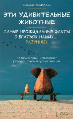 Читайте книги онлайн на Bookidrom.ru! Бесплатные книги в одном клике Вирджиния Морелл - Эти удивительные животные. Самые неожиданные факты о братьях наших… разумных