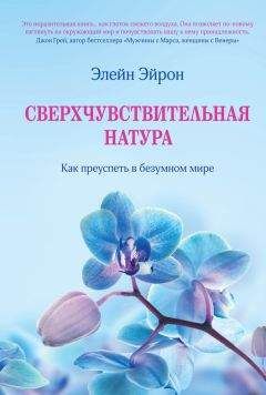 Читайте книги онлайн на Bookidrom.ru! Бесплатные книги в одном клике Элейн Эйрон - Сверхчувствительная натура. Как преуспеть в безумном мире