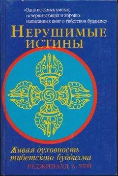 Читайте книги онлайн на Bookidrom.ru! Бесплатные книги в одном клике Реджинальд Рей - Нерушимые истины