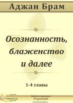 Читайте книги онлайн на Bookidrom.ru! Бесплатные книги в одном клике Аджан Аджан Брам - Осознанность, блаженство и далее