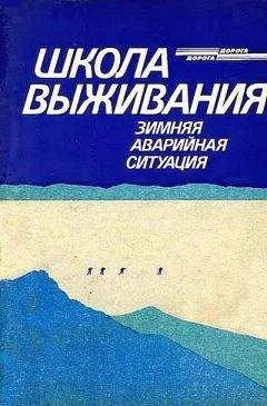 Читайте книги онлайн на Bookidrom.ru! Бесплатные книги в одном клике Андрей Ильичев - Школа выживания. Зимняя аварийная ситуация