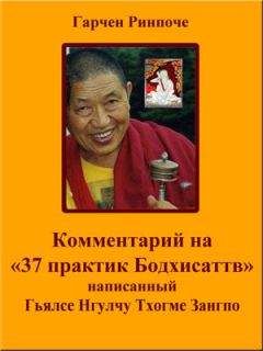 Читайте книги онлайн на Bookidrom.ru! Бесплатные книги в одном клике Гарчен Ринпоче - Комментарий на «37 практик Бодхисаттв»