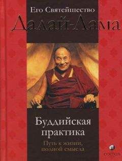 Читайте книги онлайн на Bookidrom.ru! Бесплатные книги в одном клике Тензин Гьяцо - Буддийская практика. Путь к жизни, полной смысла