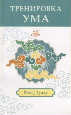 Читайте книги онлайн на Bookidrom.ru! Бесплатные книги в одном клике Рингу Тулку Ринпоче - Тренировка ума