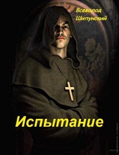 Читайте книги онлайн на Bookidrom.ru! Бесплатные книги в одном клике Всеволод Шипунский - Испытание (СИ)