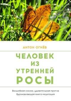 Читайте книги онлайн на Bookidrom.ru! Бесплатные книги в одном клике Антон Огнев - Человек из Утренней росы