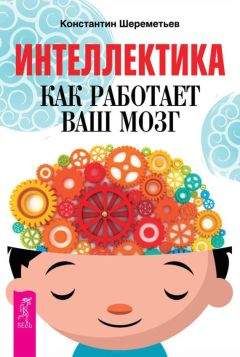 Читайте книги онлайн на Bookidrom.ru! Бесплатные книги в одном клике Константин Шереметьев - Интеллектика. Как работает ваш мозг