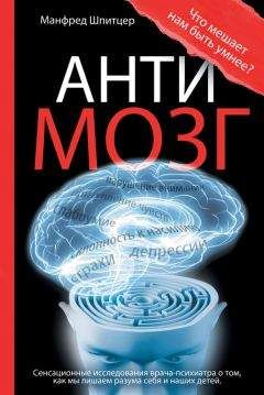 Читайте книги онлайн на Bookidrom.ru! Бесплатные книги в одном клике Манфред Шпитцер - Антимозг: цифровые технологии и мозг