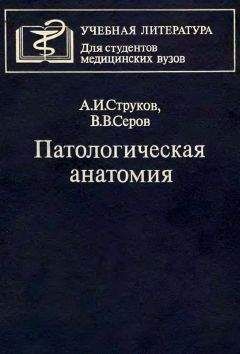 Читайте книги онлайн на Bookidrom.ru! Бесплатные книги в одном клике Анатолий Струков - Патологическая анатомия