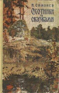 Читайте книги онлайн на Bookidrom.ru! Бесплатные книги в одном клике Иван Симонов - Охотники за сказками