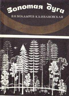 Читайте книги онлайн на Bookidrom.ru! Бесплатные книги в одном клике Виктор Болдырев - Золотая Дуга