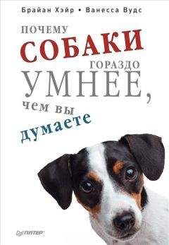 Читайте книги онлайн на Bookidrom.ru! Бесплатные книги в одном клике Брайан Хэйр - Почему собаки гораздо умнее, чем вы думаете