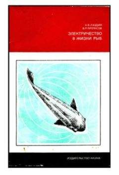 Читайте книги онлайн на Bookidrom.ru! Бесплатные книги в одном клике Александр Лаздин - Электричество в жизни рыб