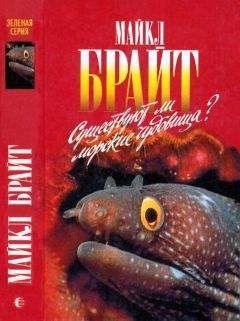 Читайте книги онлайн на Bookidrom.ru! Бесплатные книги в одном клике Майкл Брайт - Существуют ли морские чудовища?