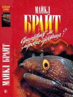 Читайте книги онлайн на Bookidrom.ru! Бесплатные книги в одном клике Майкл Брайт - Существуют ли морские чудовища?