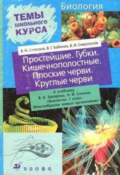 Читайте книги онлайн на Bookidrom.ru! Бесплатные книги в одном клике В. Алексеев - Простейшие. Губки. Кишечнополостные. Плоские черви. Круглые черви