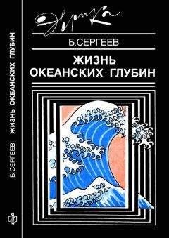 Читайте книги онлайн на Bookidrom.ru! Бесплатные книги в одном клике Борис Сергеев - Жизнь океанских глубин