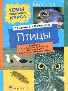 Читайте книги онлайн на Bookidrom.ru! Бесплатные книги в одном клике Евгения Бровкина - Птицы