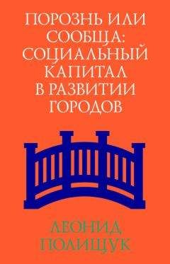 Читайте книги онлайн на Bookidrom.ru! Бесплатные книги в одном клике Леонид Полищук - Порознь или сообща. Социальный капитал в развитии городов