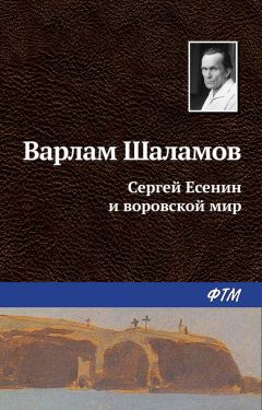 Читайте книги онлайн на Bookidrom.ru! Бесплатные книги в одном клике Варлам Шаламов - Сергей Есенин и воровской мир