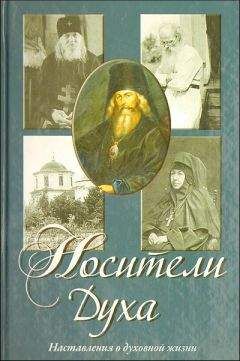 Читайте книги онлайн на Bookidrom.ru! Бесплатные книги в одном клике Алексей Осипов - Носители Духа