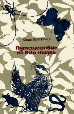 Юрий Дмитриев - Путешествие на всю жизнь