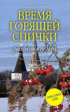 Читайте книги онлайн на Bookidrom.ru! Бесплатные книги в одном клике Владимир Крупин - Время горящей спички (сборник)