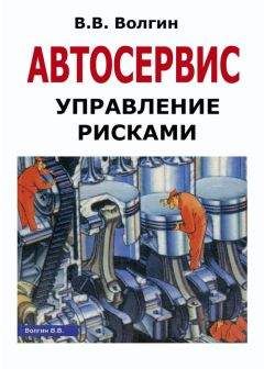 Владислав Волгин - Автосервис. Управление рисками: Практическое пособие