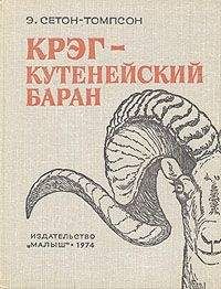 Читайте книги онлайн на Bookidrom.ru! Бесплатные книги в одном клике Эрнест Сетон-Томпсон - Крэг - кутенейский баран