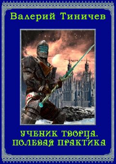 Читайте книги онлайн на Bookidrom.ru! Бесплатные книги в одном клике Валерий Тиничев - Ученик Творца. Полевая практика