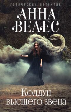 Читайте книги онлайн на Bookidrom.ru! Бесплатные книги в одном клике Анна Велес - Колдун высшего звена