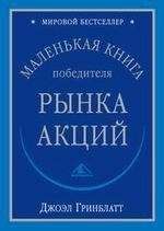 Читайте книги онлайн на Bookidrom.ru! Бесплатные книги в одном клике Джоэл Гринблатт - Маленькая книга победителя рынка акций