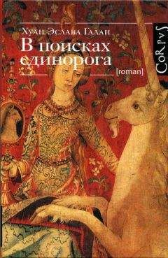 Читайте книги онлайн на Bookidrom.ru! Бесплатные книги в одном клике Хуан Эслава Галан - В поисках единорога