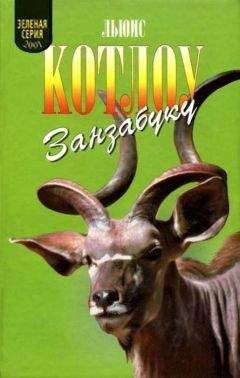 Читайте книги онлайн на Bookidrom.ru! Бесплатные книги в одном клике Льюис Котлоу - Занзабуку