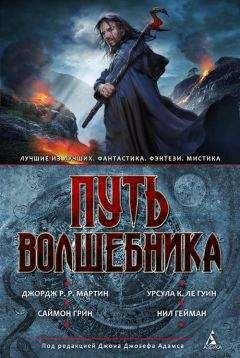 Читайте книги онлайн на Bookidrom.ru! Бесплатные книги в одном клике Джон Адамс - Путь волшебника