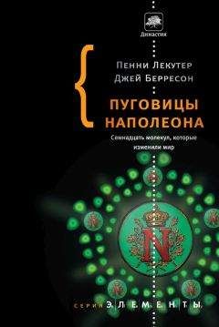 Читайте книги онлайн на Bookidrom.ru! Бесплатные книги в одном клике Джей Берресон - Пуговицы Наполеона. Семнадцать молекул, которые изменили мир