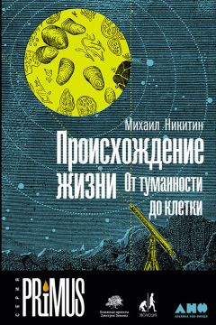 Читайте книги онлайн на Bookidrom.ru! Бесплатные книги в одном клике Михаил Никитин - Происхождение жизни. От туманности до клетки