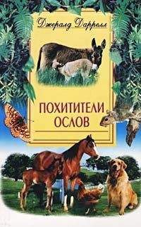 Читайте книги онлайн на Bookidrom.ru! Бесплатные книги в одном клике Джеральд Даррел - Похитители ослов (Ослокрады)