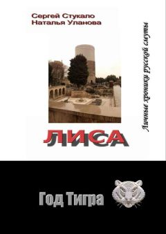 Читайте книги онлайн на Bookidrom.ru! Бесплатные книги в одном клике Наталья Уланова - Лиса. Личные хроники русской смуты