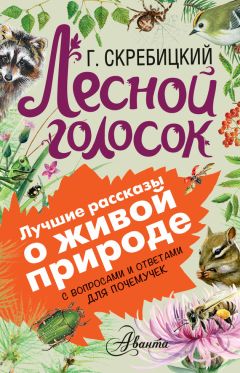 Читайте книги онлайн на Bookidrom.ru! Бесплатные книги в одном клике Георгий Скребицкий - Лесной голосок. С вопросами и ответами для почемучек