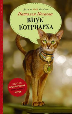 Читайте книги онлайн на Bookidrom.ru! Бесплатные книги в одном клике Наталья Нечаева - Внук котриарха