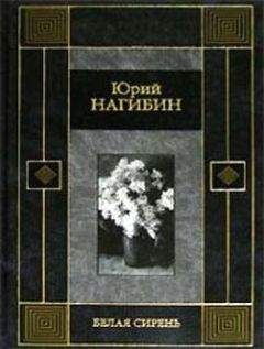 Читайте книги онлайн на Bookidrom.ru! Бесплатные книги в одном клике Юрий Нагибин - Волхвы