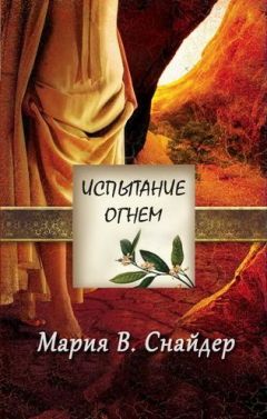 Читайте книги онлайн на Bookidrom.ru! Бесплатные книги в одном клике Мария Снайдер - Испытание огнем