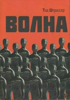 Читайте книги онлайн на Bookidrom.ru! Бесплатные книги в одном клике Тод Штрассер - Волна