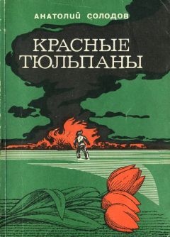 Читайте книги онлайн на Bookidrom.ru! Бесплатные книги в одном клике Анатолий Солодов - Красные тюльпаны