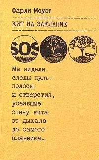 Читайте книги онлайн на Bookidrom.ru! Бесплатные книги в одном клике Фарли Моуэт - Кит на заклание