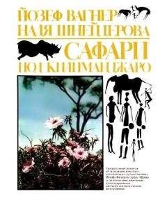 Читайте книги онлайн на Bookidrom.ru! Бесплатные книги в одном клике Йозеф Вагнер - Сафари под Килиманджаро